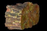 Polished Red/Yellow Petrified Wood (Araucarioxylon) - Arizona #147889-1